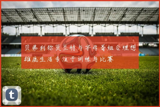 贝弗利称莫兰特与字母哥组合理想雄鹿生活专注于训练与比赛
